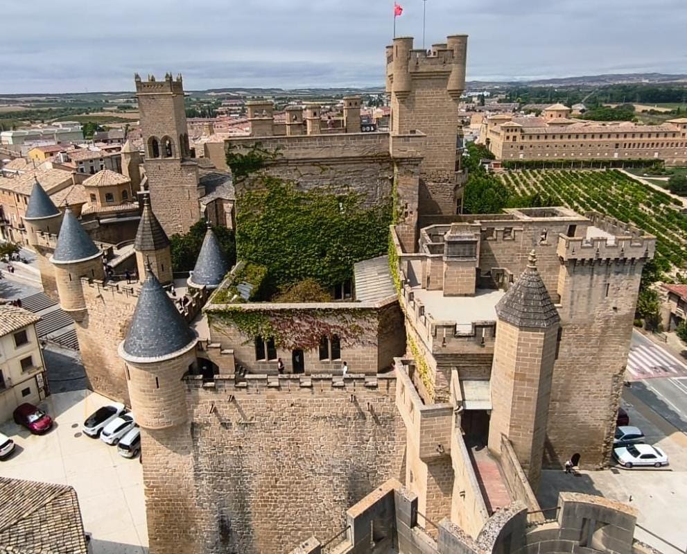 foto castillo olite